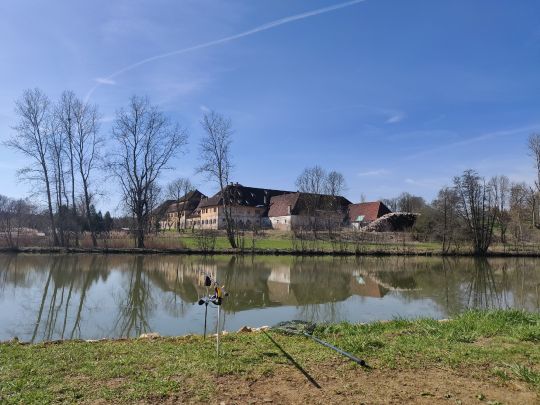 Klosterweiher (Scheyern) angeln