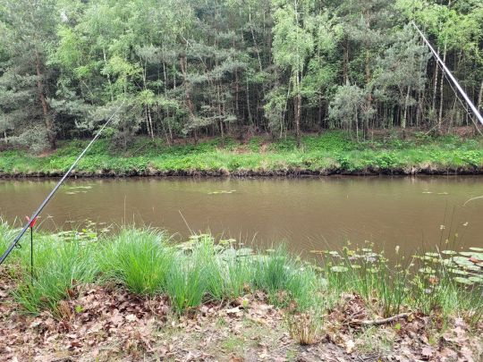 Bodelschwingh-Stollen (Uffeln)