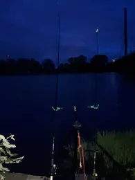 Norderelbe (Hamburg-Veddel)