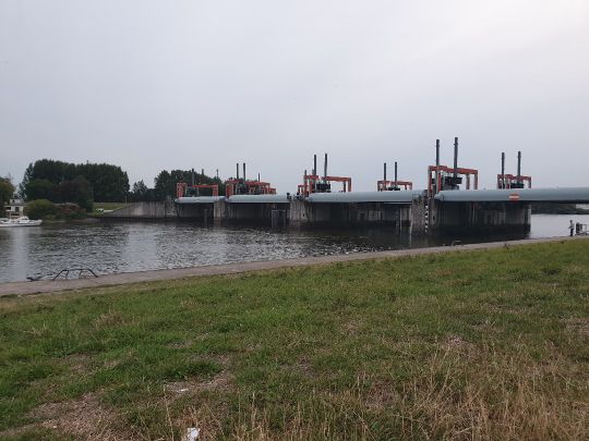 Norderelbe (Hamburg-Veddel)-4