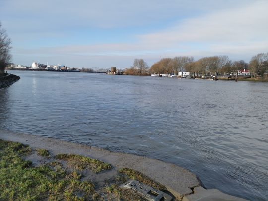 Norderelbe (Hamburg-Veddel)-3