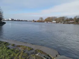 Norderelbe (Hamburg-Veddel)-3