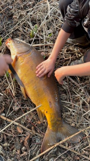 Privatteich LWL Soest