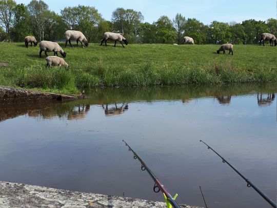 Nordgeorgsfehnkanal (Stickhausen)-3