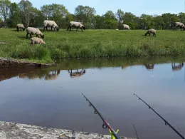 Nordgeorgsfehnkanal (Stickhausen)-3