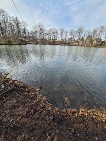 Schloßteich (Wildenfels)-1