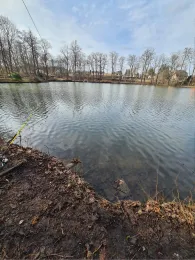 Schloßteich (Wildenfels)-1