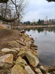 Schloßteich (Wildenfels)-3