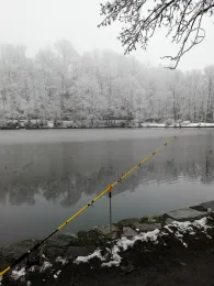 Schloßteich (Wildenfels)