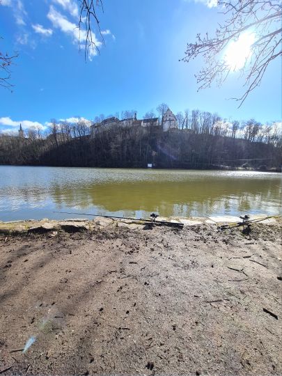 Schloßteich (Wildenfels)-2