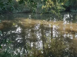 Alte Weser (Gandesbergen)-0