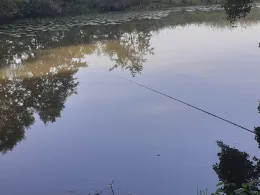 Alte Weser (Gandesbergen)