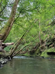 Bröl (Ruppichteroth)-1