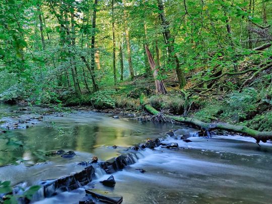 Angeln in Neunkirchen-Seelscheid