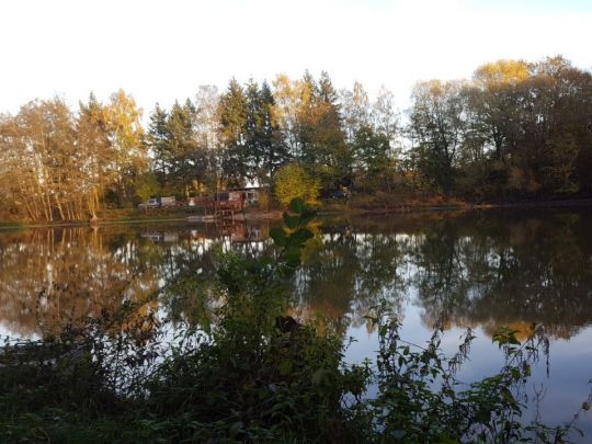 Privatsee bei Reupelsdorf