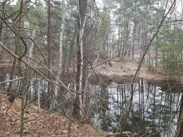 Tulpengrube (Liebegast)