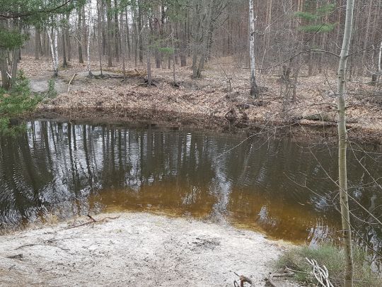 Tulpengrube (Liebegast)-2