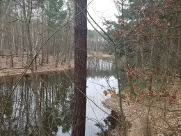 Tulpengrube (Liebegast)-0