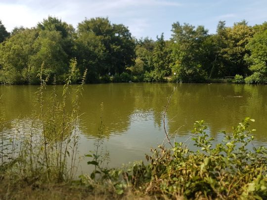 Schlossteich Burgau-2