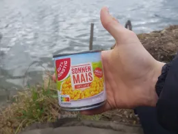 Golfweiher (Kirchroth)