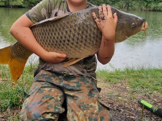 Golfweiher (Kirchroth)-3