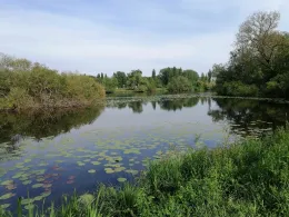 Langer Teich (Laatzen)