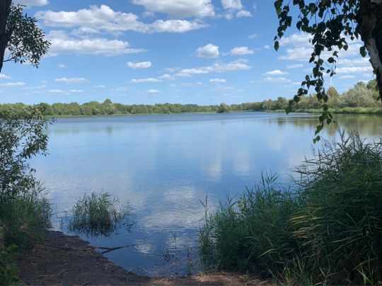 Restloch 1 A (Kittlitz)-3