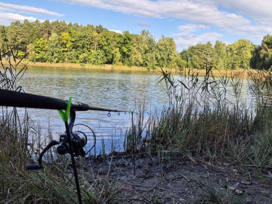 Hechtteich (Kromlau)-4