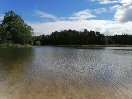 Hechtteich (Kromlau)-2