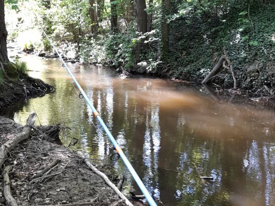 Lockwitzbach (Dresden-Lockwitz)-2