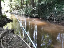 Lockwitzbach (Dresden-Lockwitz)-2