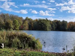 Kleiner Moorsee (Meckelfeld)-1