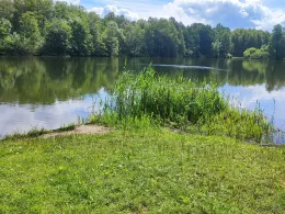 Kleiner Moorsee (Meckelfeld)-2