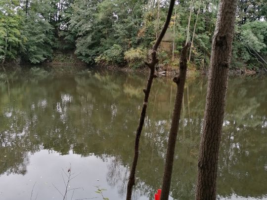 Schieferloch am Trockenwerk-3