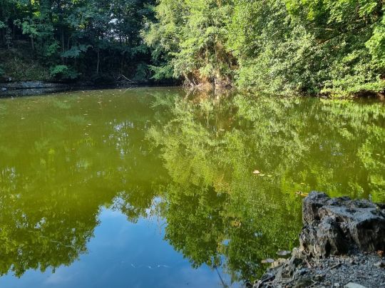 Schieferloch am Trockenwerk-4