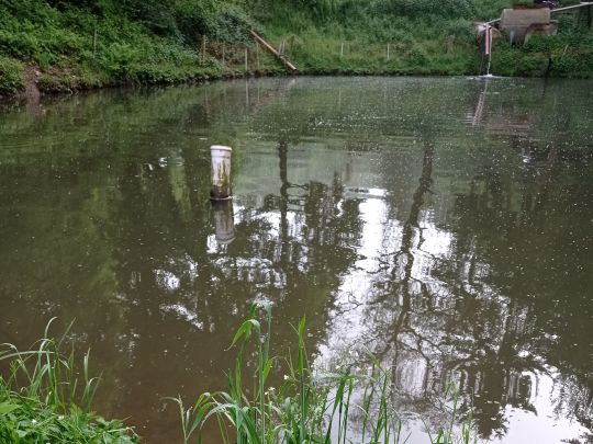 Angelpark Mannebacher Tal-3