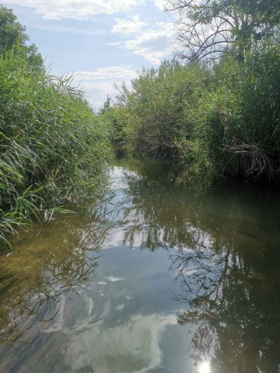 Kessel (Donauwörth)