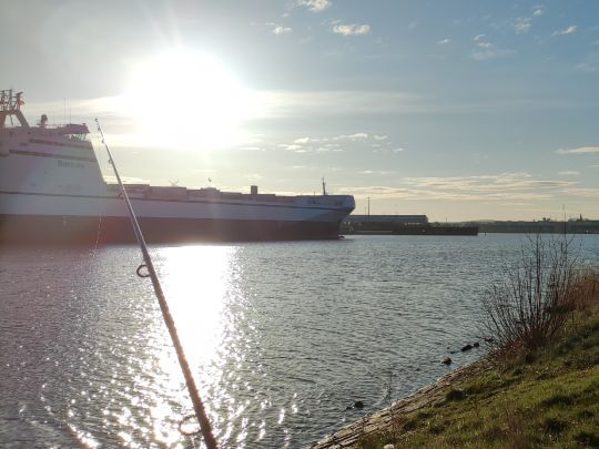 Trave (Schlutup-Kücknitz)-1