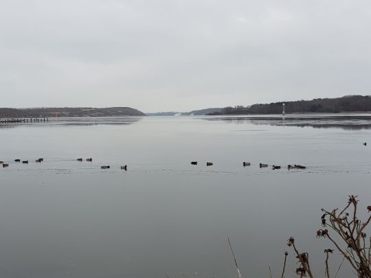 Trave (Schlutup-Kücknitz)-2