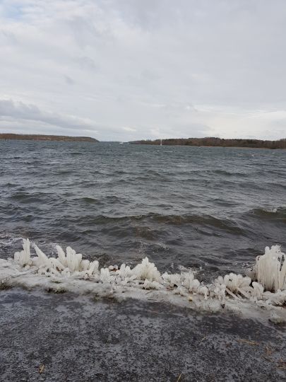 Trave (Schlutup-Kücknitz)-3