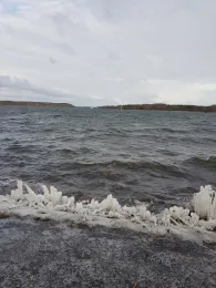 Trave (Schlutup-Kücknitz)-3