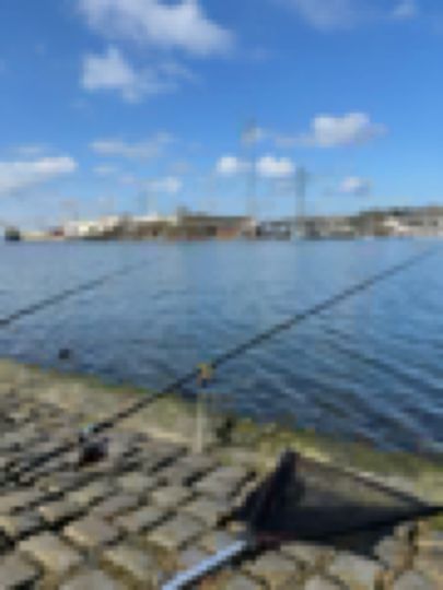 Trave (Schlutup-Kücknitz)-4