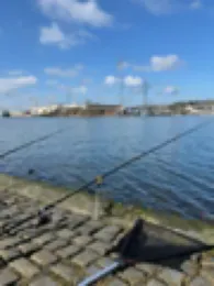 Trave (Schlutup-Kücknitz)-4