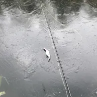 Kleiner Zermittensee-2