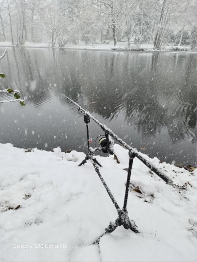 Stadtpark Reichenbach/Vogtland-1