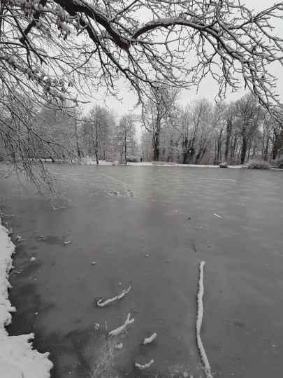 Angeln in Mohlsdorf-Teichwolframsdorf