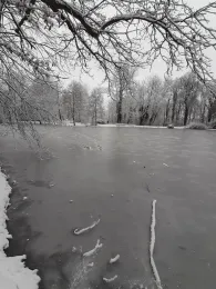 Stadtpark Reichenbach/Vogtland-2