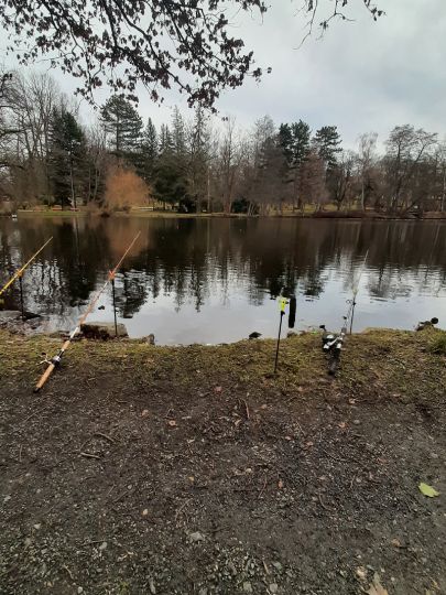 Stadtpark Reichenbach/Vogtland-4