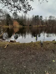 Stadtpark Reichenbach/Vogtland-4