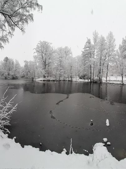 Stadtpark Reichenbach/Vogtland-3